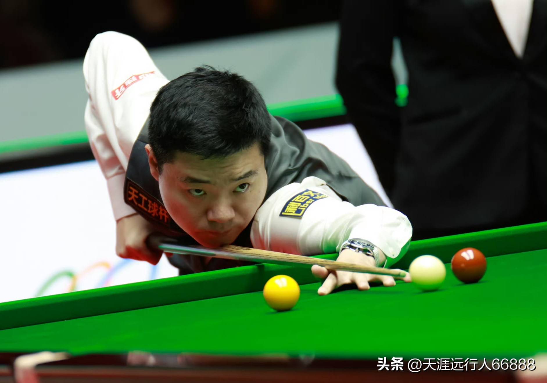 社会是一个 社会是一个