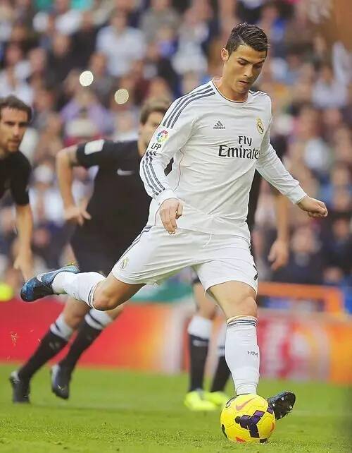 还成功带动 还成功带动