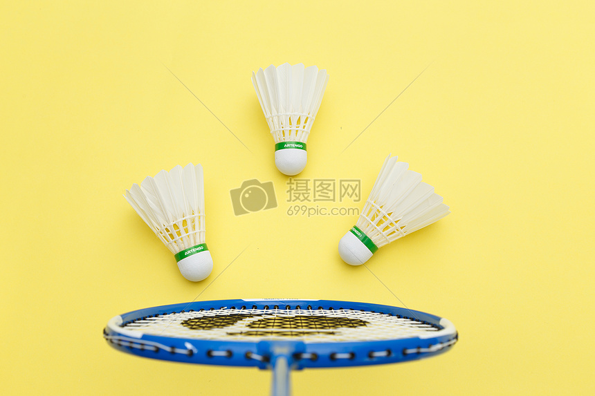 家法布里齐 家法布里齐