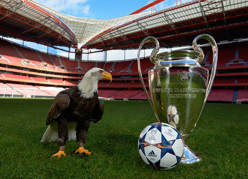 图一样剧烈 图一样剧烈